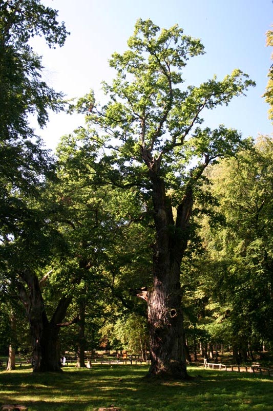 Killikus&reg; Fotographie